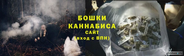 прущие грибы Алексеевка