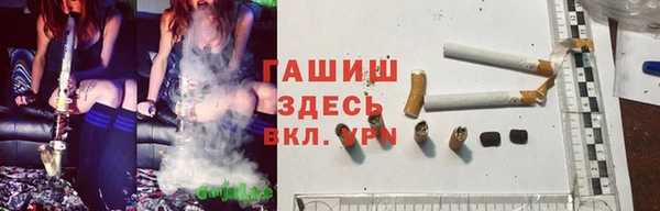 ПСИЛОЦИБИНОВЫЕ ГРИБЫ Алзамай