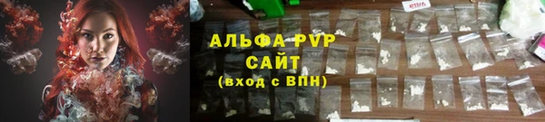ПСИЛОЦИБИНОВЫЕ ГРИБЫ Абаза