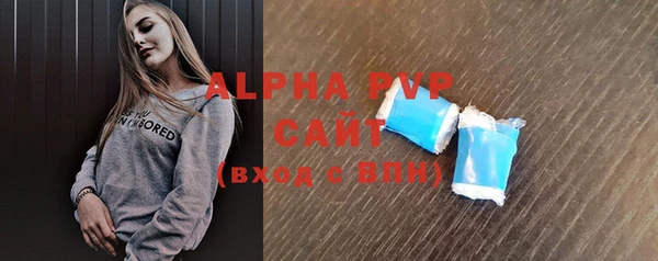 индика Медвежьегорск